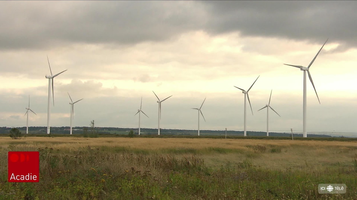 Vers un grand projet éolien dans le nord du Nouveau-Brunswick