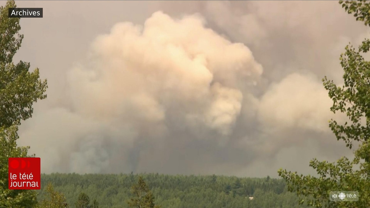 Feux de forêt : comment se prépare-t-on au Nouveau-Brunswick?