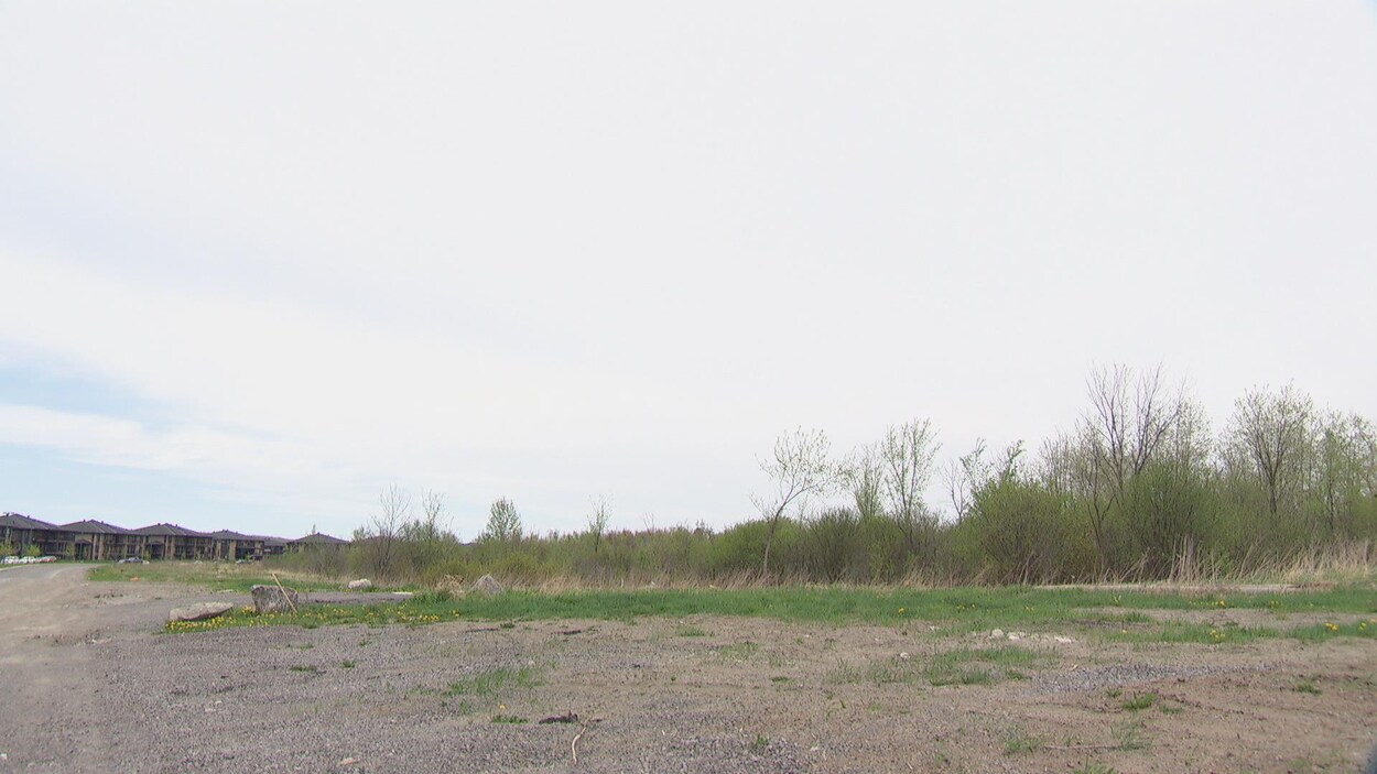 Un terrain vague avec des maisons au loin