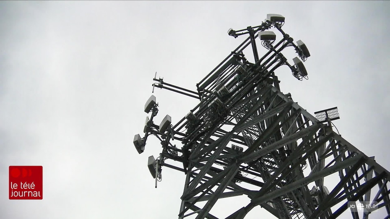 Vaste consultation citoyenne sur le réseau cellulaire de la Péninsule acadienne