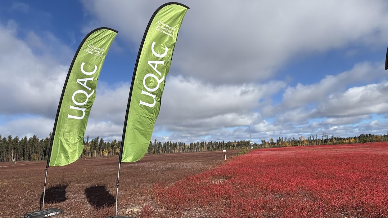 La bleuetière de recherche de l’UQAC inaugurée à Normandin