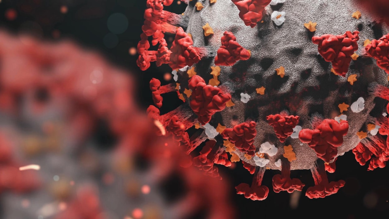 Modélisation 3D d'un virus vu de près.