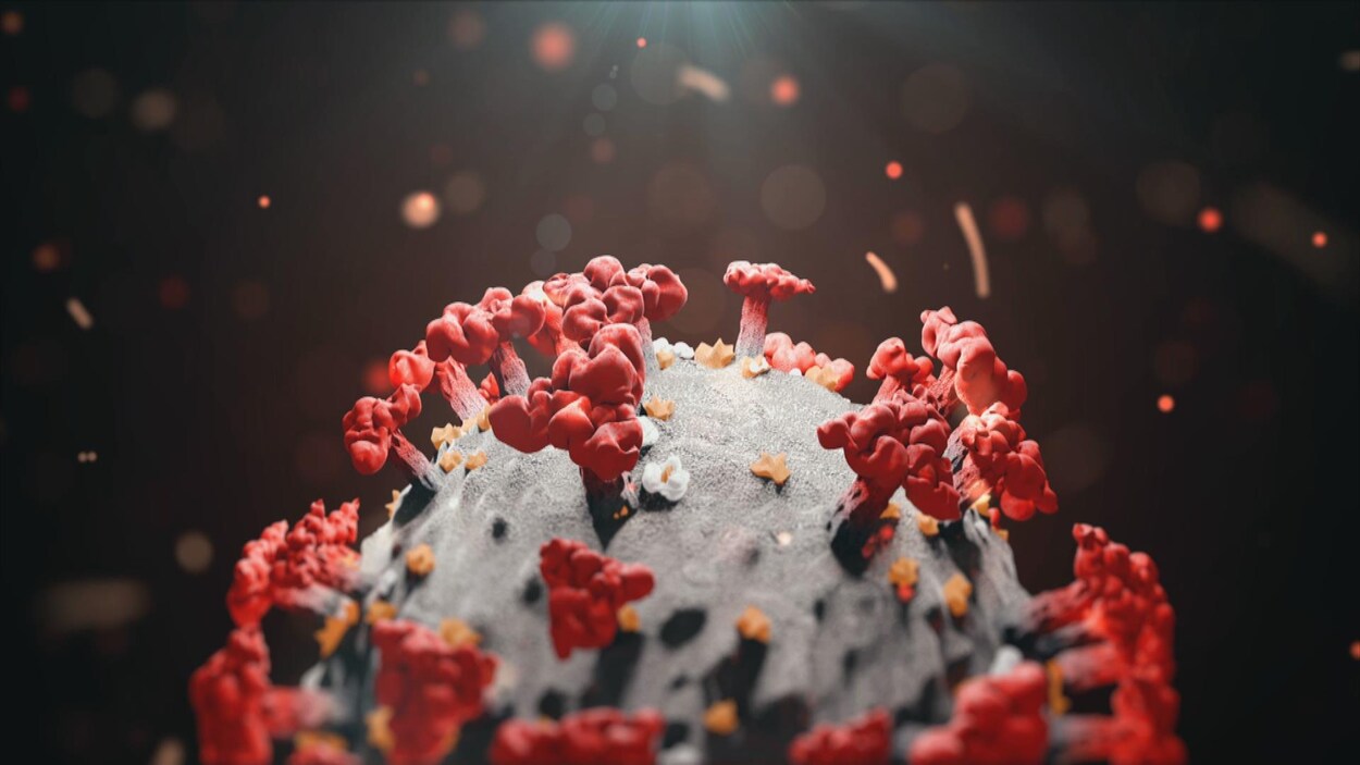 Le virus de la COVID-19