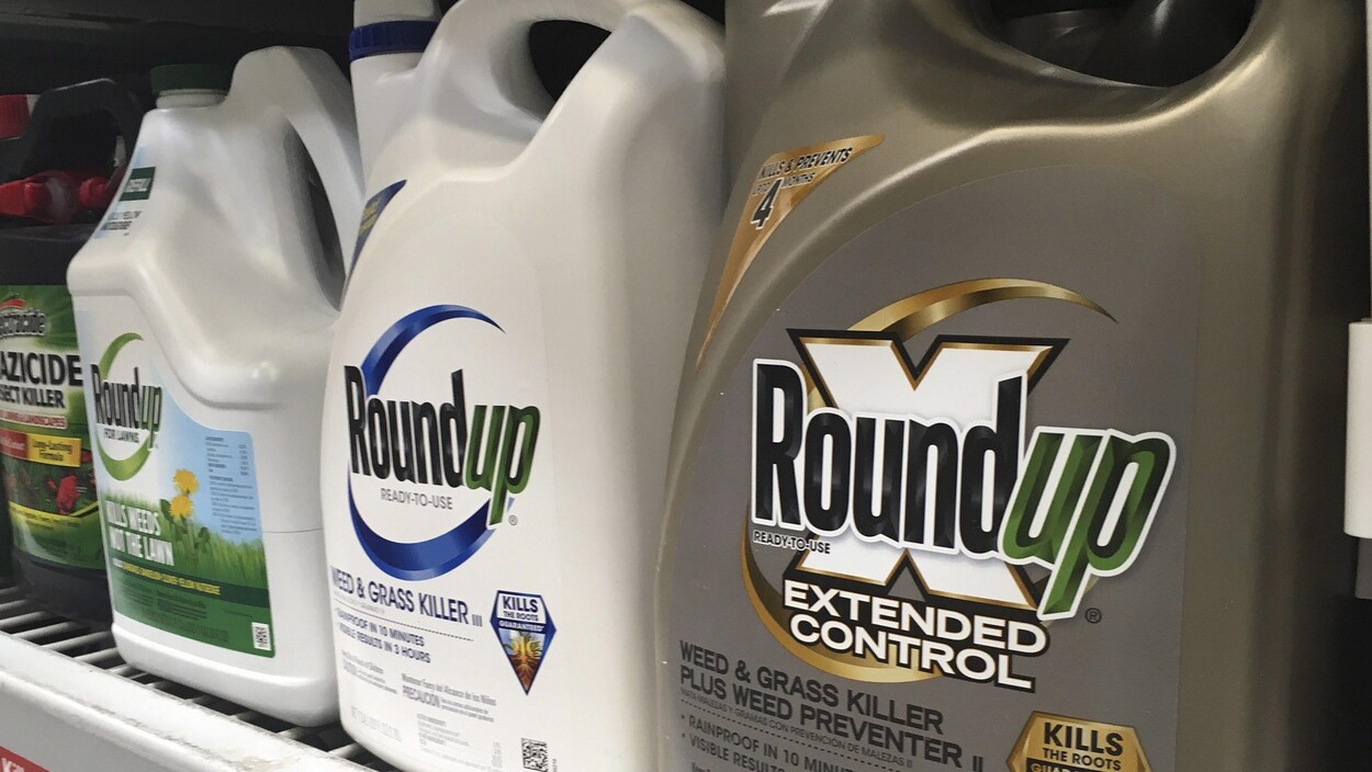 Des récipients de Roundup sur une étagère d'un magasin.
