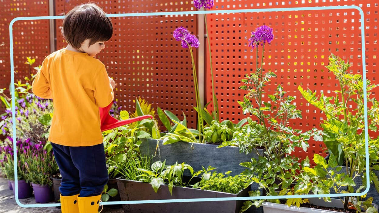 Pot de jardinage de radis pour enfants