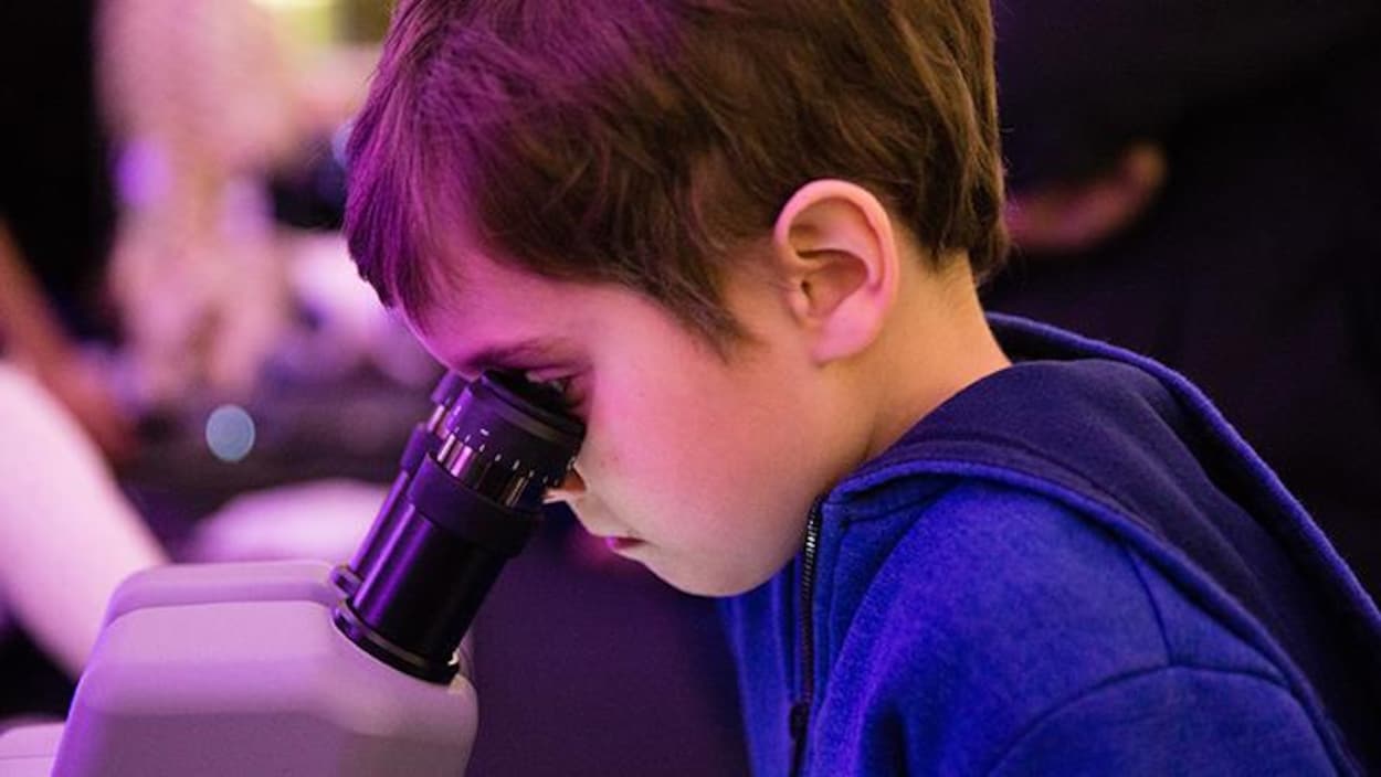 L'enfant Scientifique Intelligent De Petit Garçon De Concept De Wunderkind  Travaille Avec L'enfant Concentré D'ordinateur Portable De Microscope