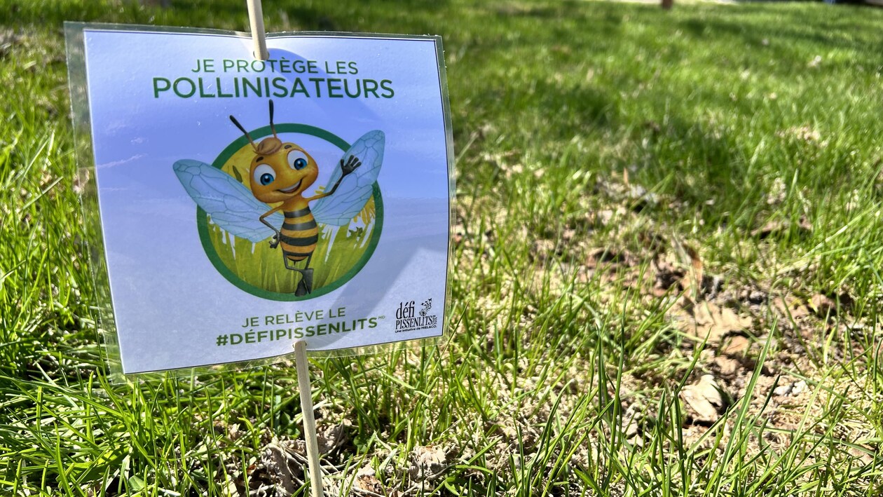 Une affiche incitant à protéger les pollinisateurs. 