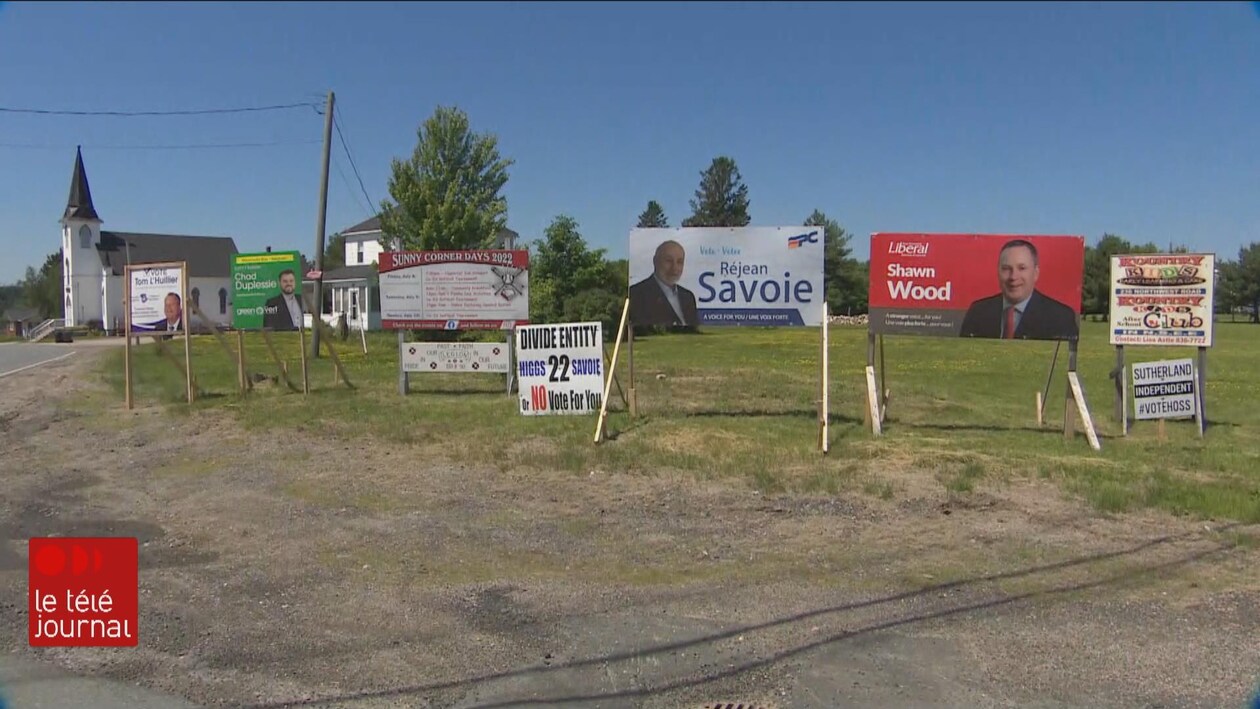 Plusieurs pancartes électorales le long d'un chemin.