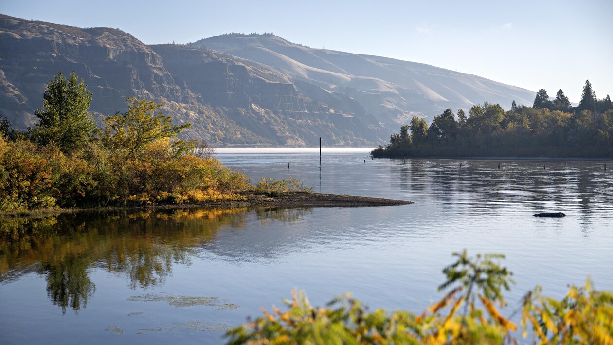 Le fleuve Columbia entouré de petites montagnes et de végétations automnales, en oregon, aux États-Unis, en 2024.