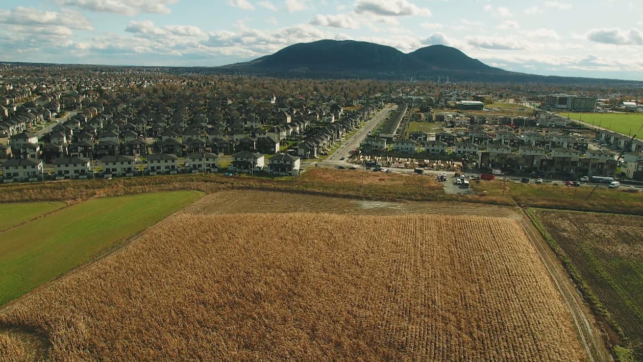 Image aérienne d'un champ près d'une ville en Montérégie.