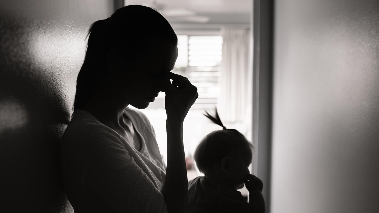 Violence faite aux femmes : un organisme aurait besoin de 250 000 $ pour  mieux fonctionner | Le téléjournal Acadie