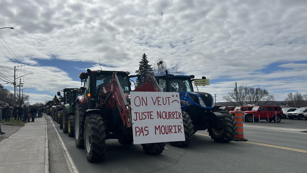 Une rangée de tracteurs dont le premier porte une affiche où est écrit "On veut juste nourrir pas mourir"