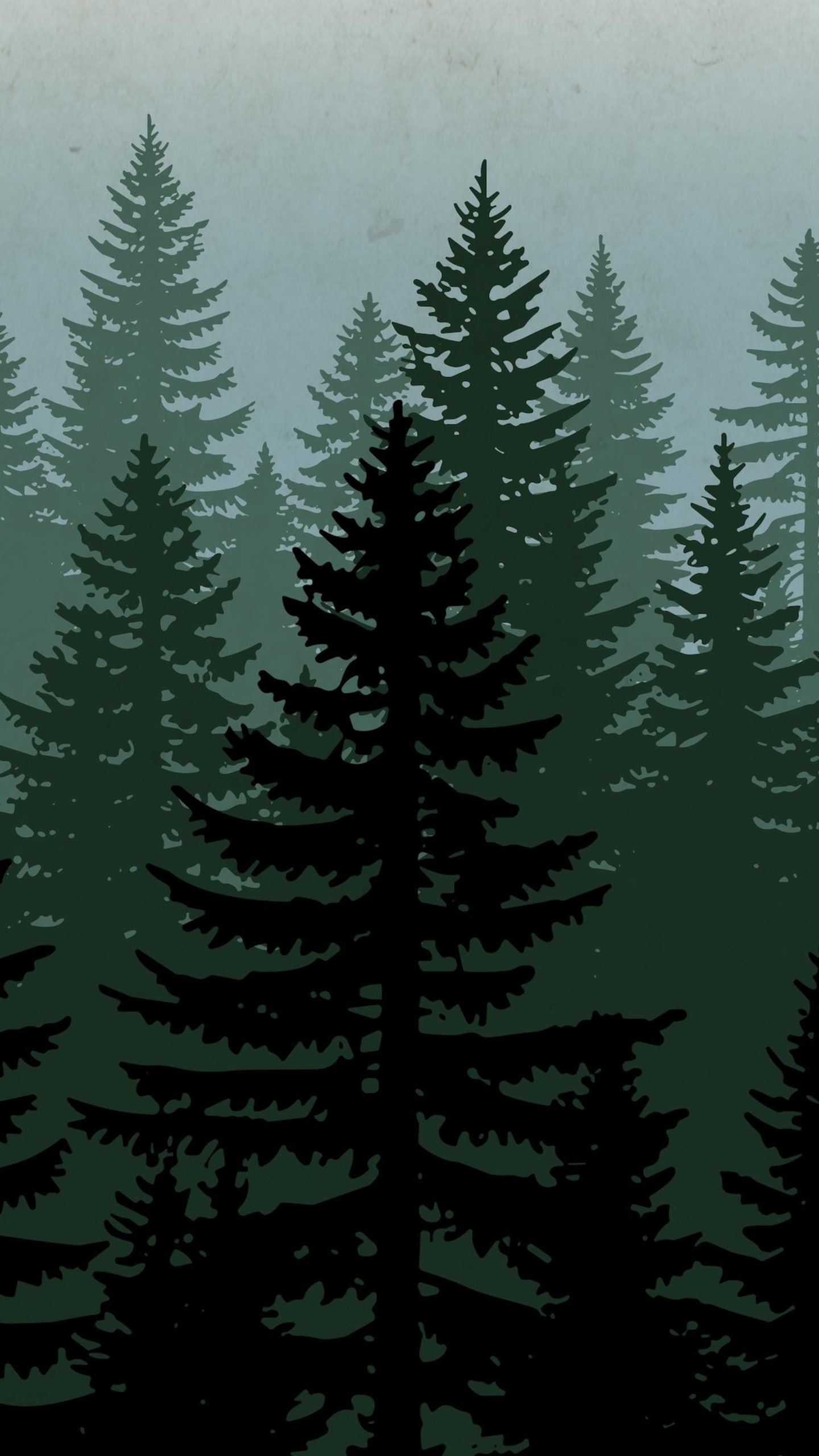 Une illustration représente une forêt de conifères.