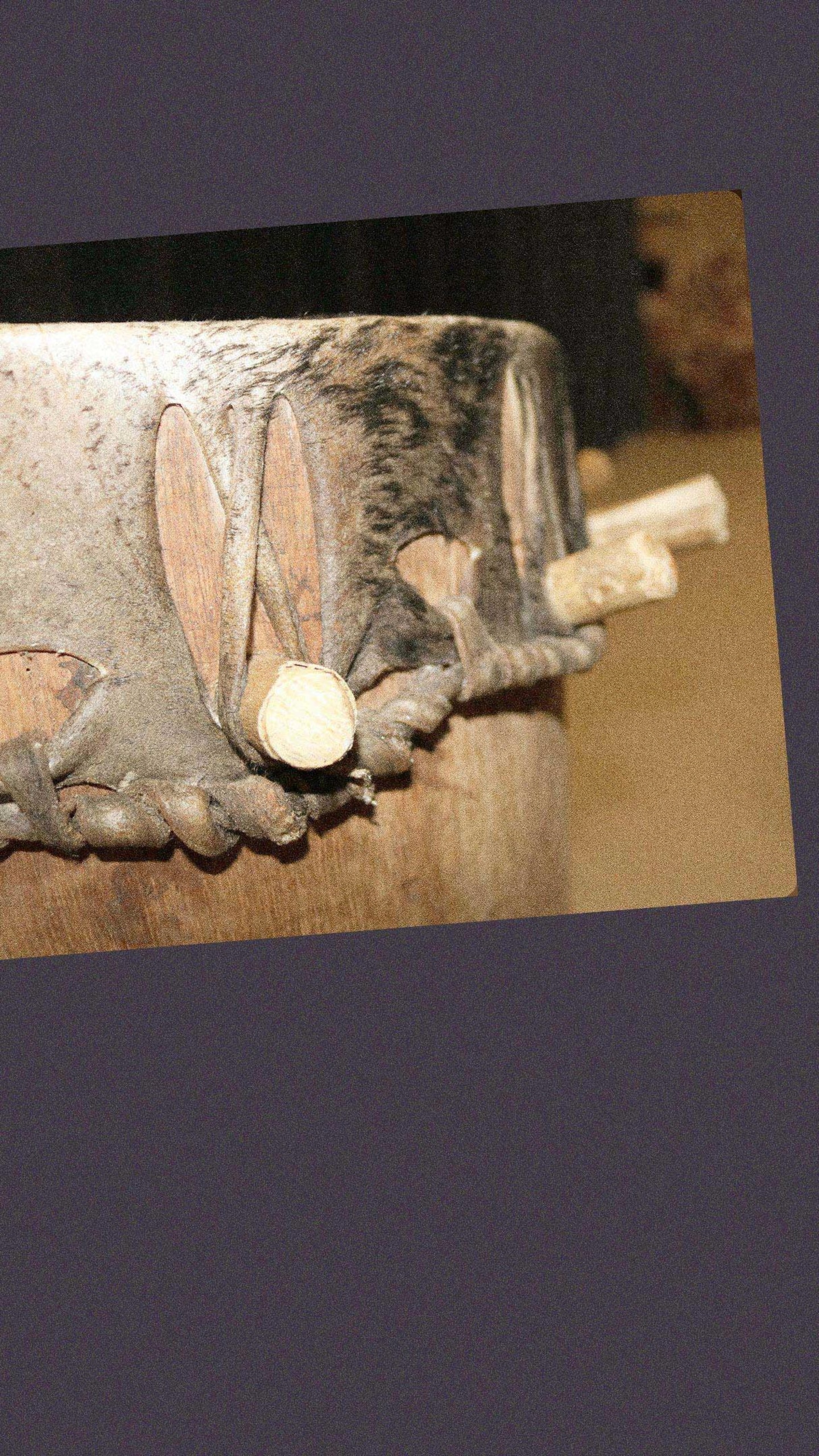 Vue macro et rapprochée sur le rebord supérieur d'un tambour en bois, montrant les détails de la peau tannée fixée par des lanières de cuir entrelacées et de petites chevilles en bois enfoncées dans la structure.