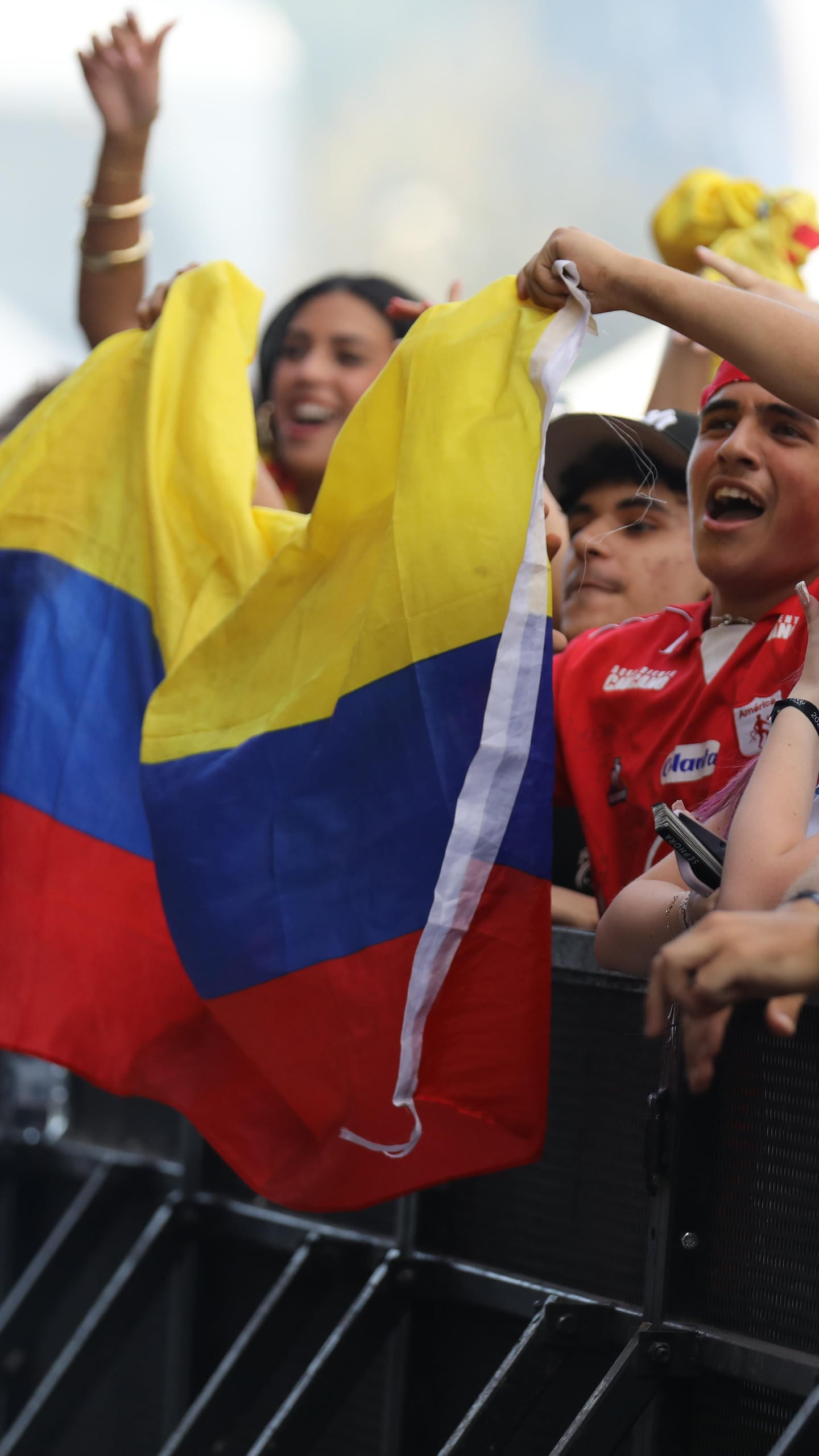 Au spectacle de Luis Fonsi, les amateurs de musique latino étaient nombreux à brandir le drapeau de leur pays.