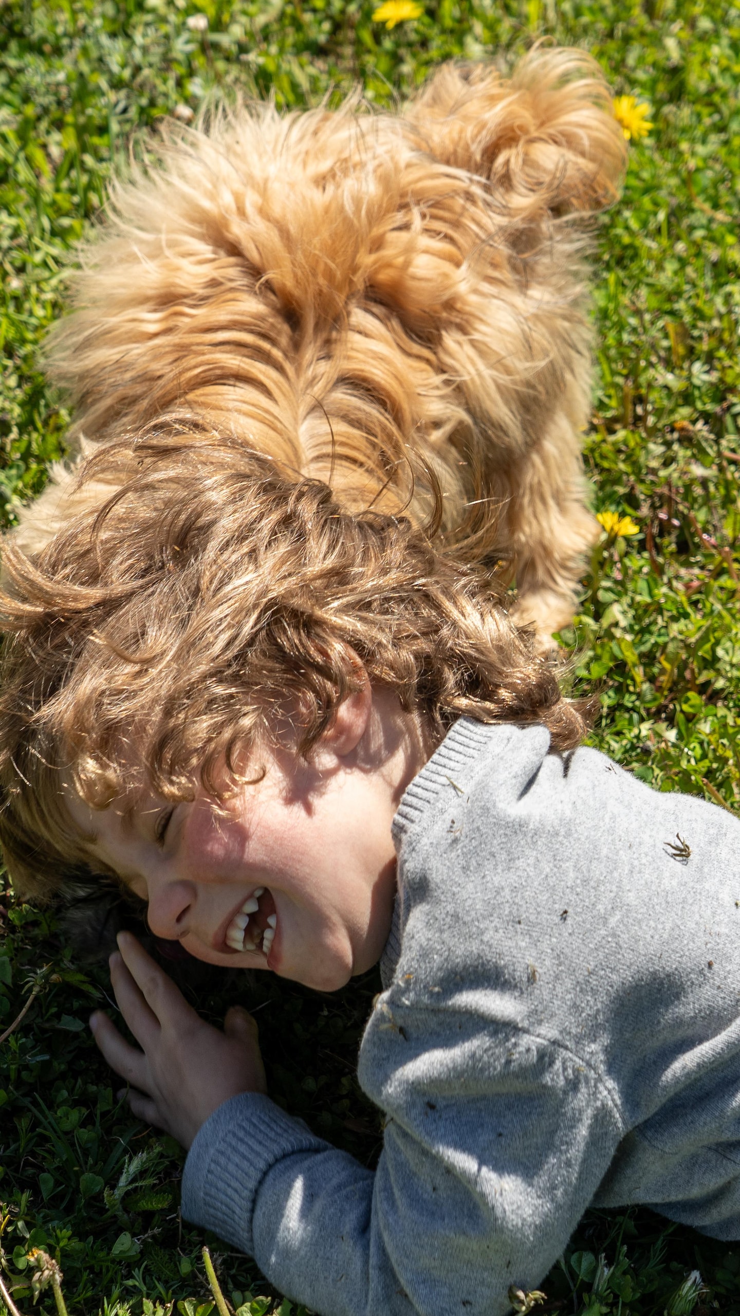 Léon rit aux éclats en jouant dans le gazon avec son chien Dubaï.