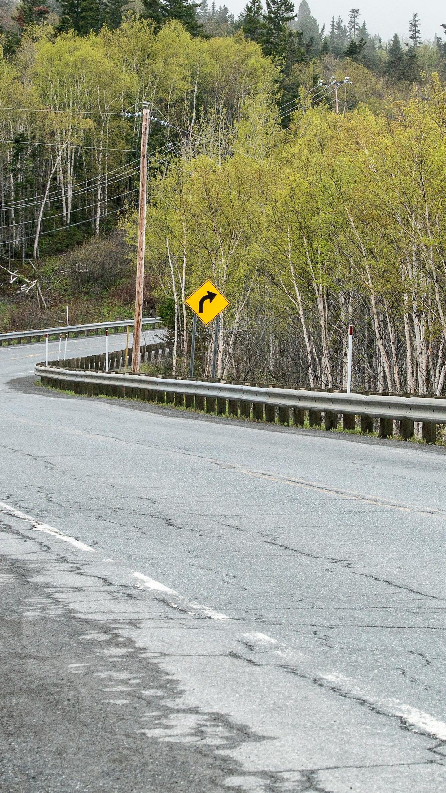 En bordure de la route, un panneau annonce une courbe prononcée. Un autre panneau rappelle de composer le 9-1-1 en cas d'urgence.