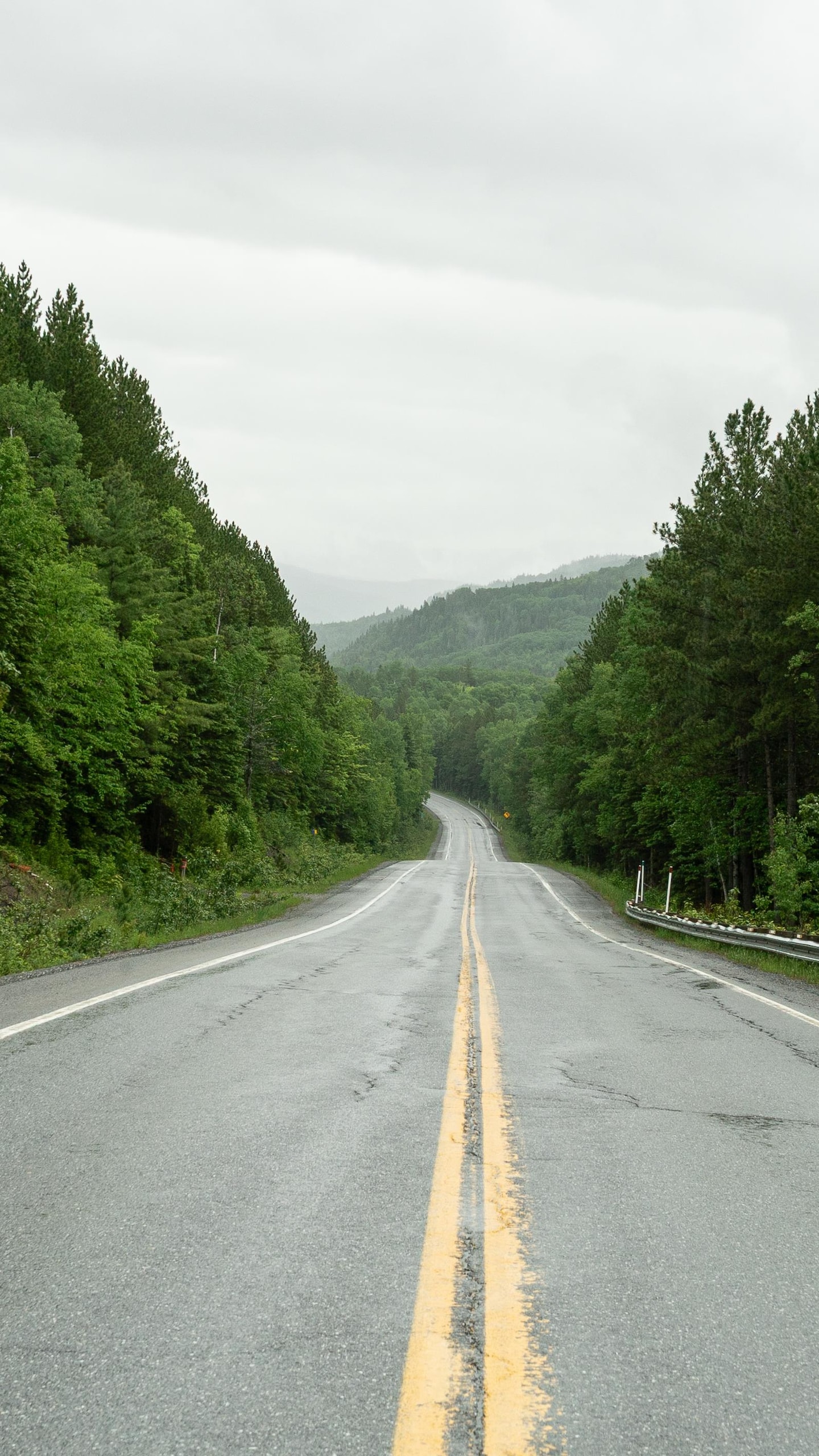 Une route s'étend devant l'objectif, entourée de forêt verdoyante. 