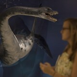 Una escultura de un plesiosaurio en una exposición en el Museo Nacional en Río de Janeiro, Brasil. 