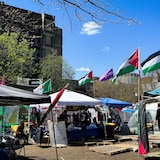 tentes de camping et drapeaux palestiniens par une journée ensoleillée.