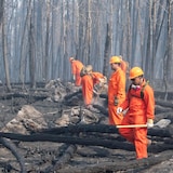 Soldados en un bosque incendiado.