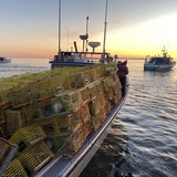 Un bateau de pêche chargé de casiers à homard quitte le havre.