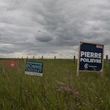 Des pancartes électorales dans un champ.