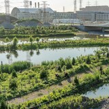 Two people working on landscaping the banks of a river with a bridge and an industrial plant in the backgroud.
