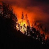 Flames are engulfing a forest on a mountain slope.