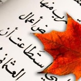 Une feuille d'érable sur un texte arabe.