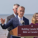 Mark Carney speaks in press conference.