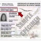 Image d'un certificat de statut indien avec la photo floutée en noir et blanc d'une femme aux cheveux noirs.