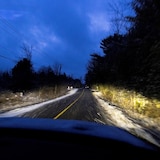 A country road lined with trees at dusk.