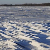 Snow drifts fill a farmer's field just outside of Emerson, Man., on Jan. 20. Investigators believe the deaths of four people found in Manitoba near the United States border are linked to a larger human smuggling operation.