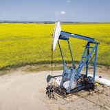 Talks of western secession have ramped up since the Liberal Party won Canada's federal election Monday. 