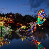 今年，蒙特利尔植物园”月亮颂“灯光秀中梦湖园一景。