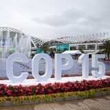 La COP15 en China.