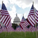 American flags in front of the Capitol. 