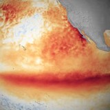 Satellite sea surface temperature departure in the Pacific Ocean for the month of October 2015, where darker orange-red colours are above normal temperatures and are indicative of El Niño. (NOAA)