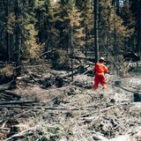 A firefighter works near Chapais, in northern Quebec, on Friday June 2, 2023 in this image provided by the fire prevention agency known as SOPFEU. (Audrey Marcoux/The Canadian Press/HO-SOPFEU Prevention and Communications)
