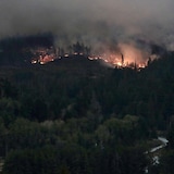 A wildfire blazing through a forest ridge.