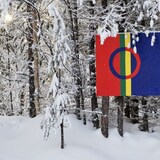 The Sami flag hanging in a snowy forest. 