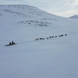 Deux personnes dans un traîneau tiré par une douzaine de chiens, Kangiqsujuaq, Nunavik, mars 2023.   
