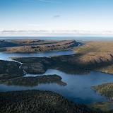 Vue aérienne sur un ensemble de lac et de forêts.