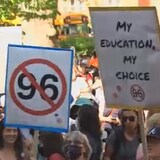 Manifestantes sostienen pancartas que denuncian la Ley 96.