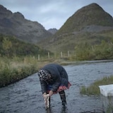 A woman cleans out reindeer intestines in a stream.