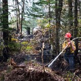 A firefighter with the Department of Natural Resources fights a forest fire.