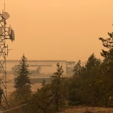 A smoke hazed skyline shown against trees. 