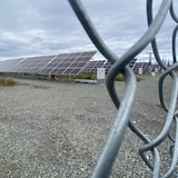 Une image de la ferme solaire de la Première Nation White River au Yukon.