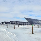 محطة للطاقة الشمسية في ساسكاشِوان.